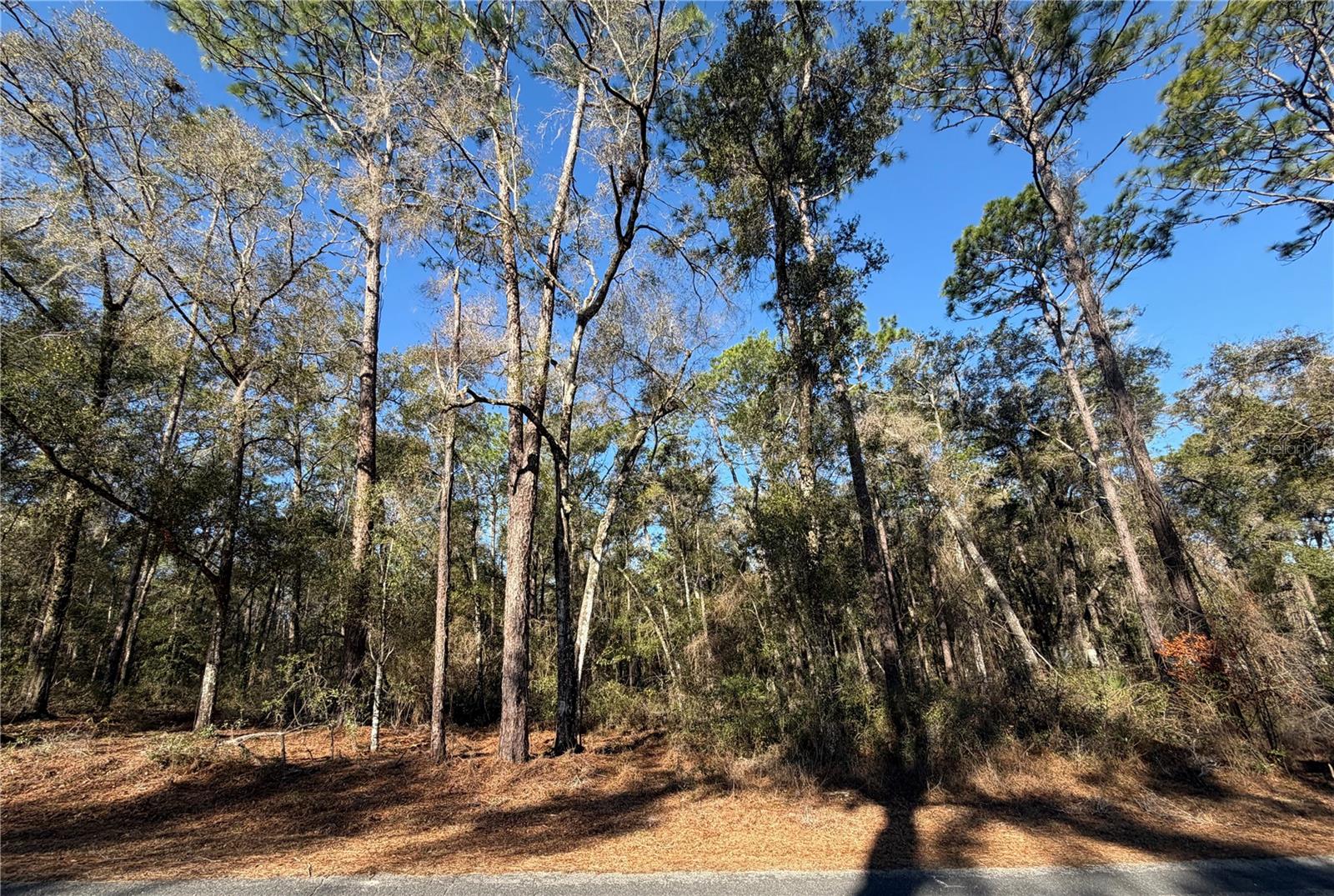 Image 7 of 12 For 5230 Robert Blake Avenue