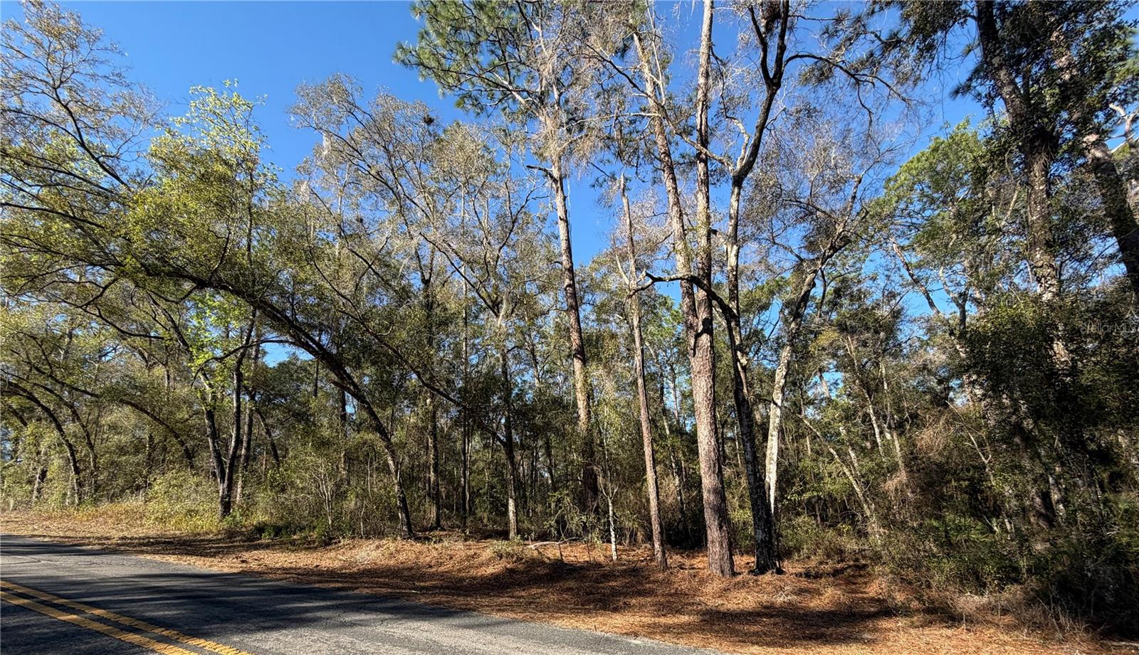 Image 8 of 12 For 5230 Robert Blake Avenue