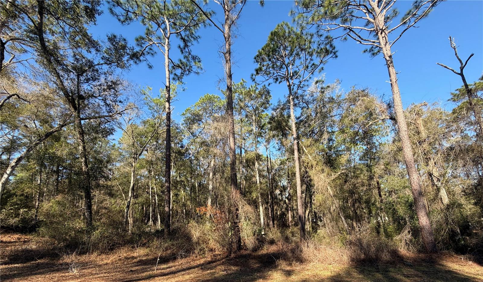 Image 9 of 12 For 5230 Robert Blake Avenue