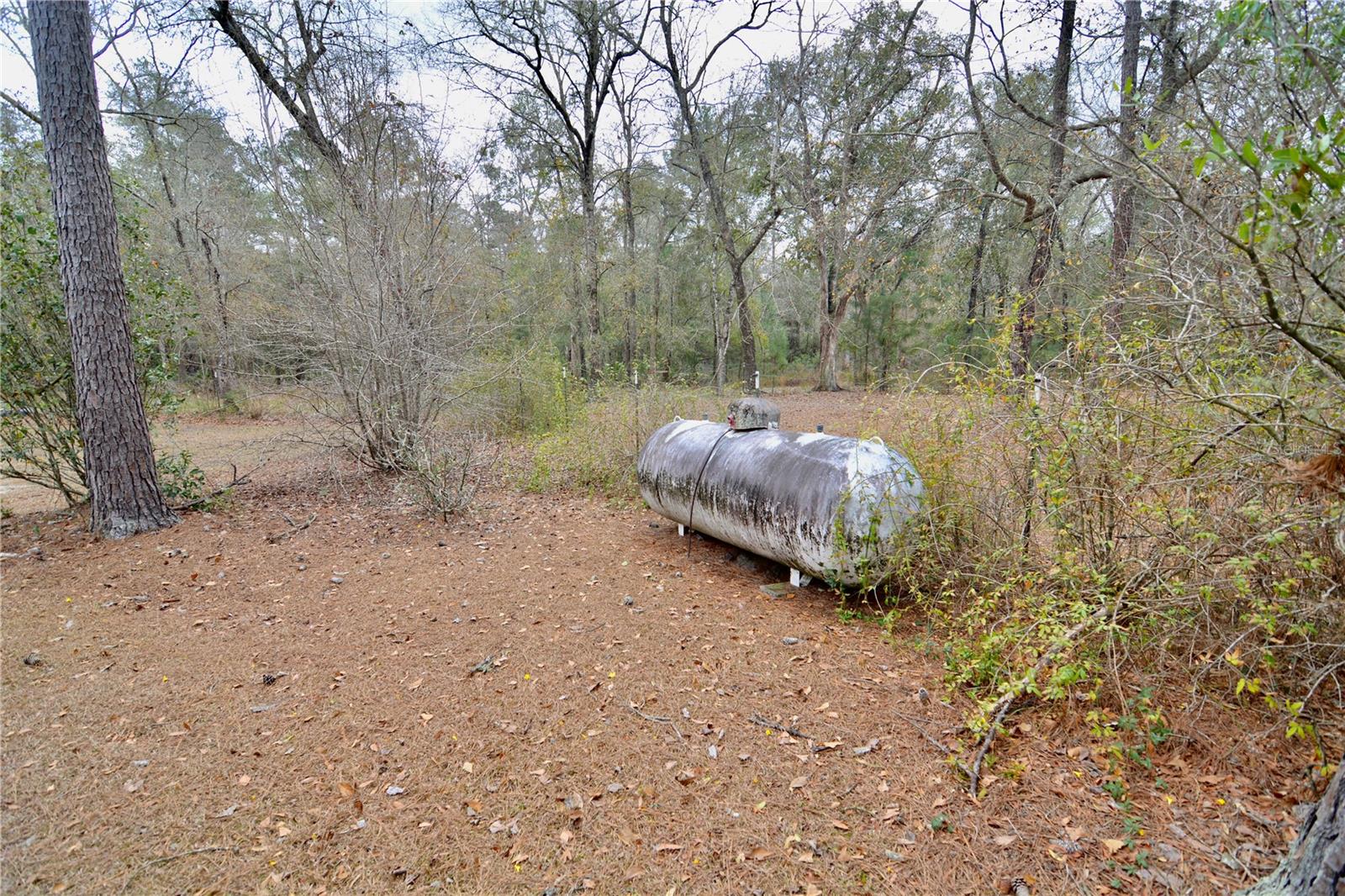 Image 47 of 93 For 210 Tucker Springs Road