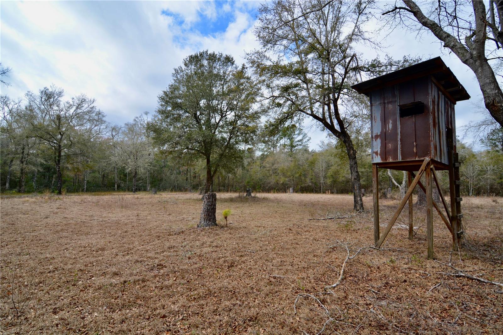 Image 5 of 93 For 210 Tucker Springs Road