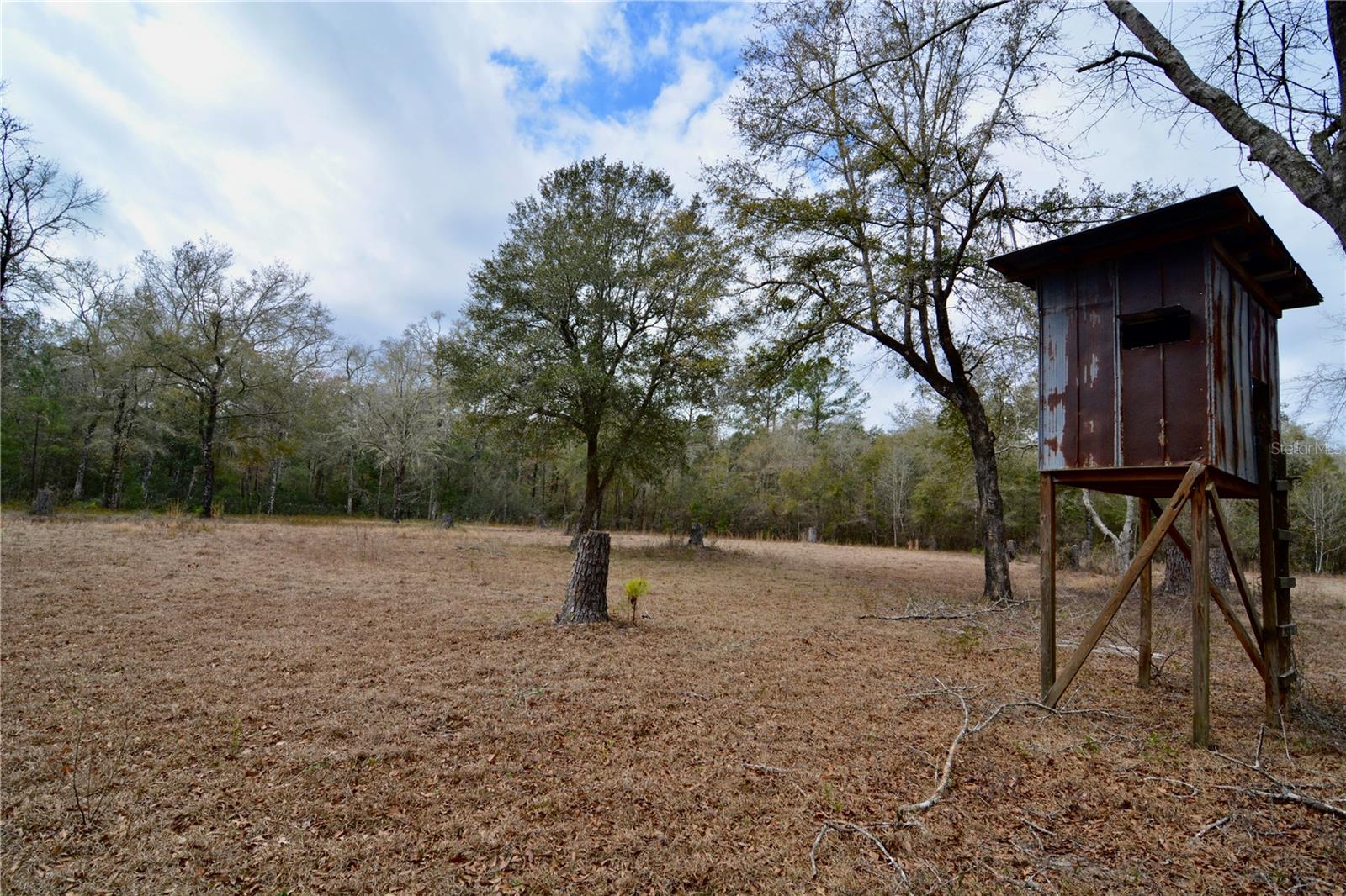 Image 72 of 93 For 210 Tucker Springs Road