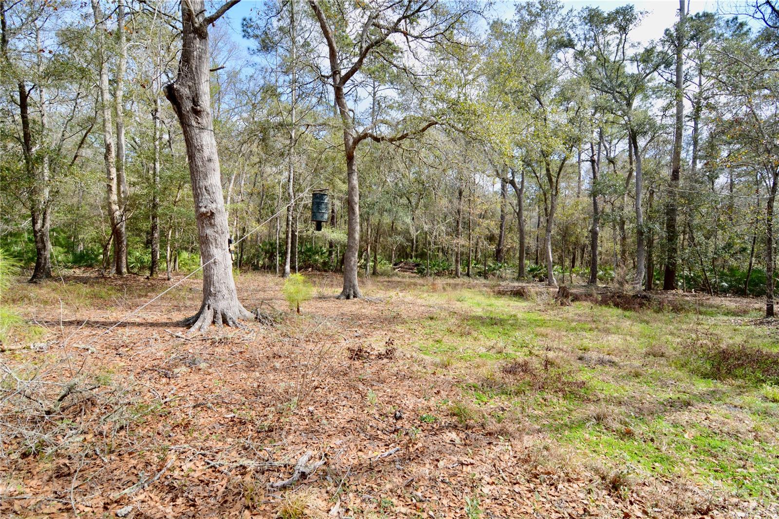 Image 73 of 93 For 210 Tucker Springs Road