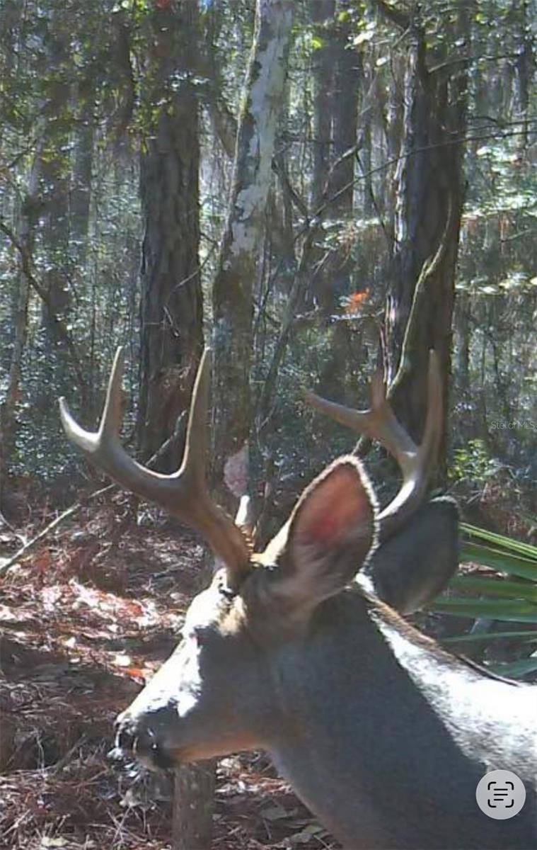 Image 76 of 93 For 210 Tucker Springs Road