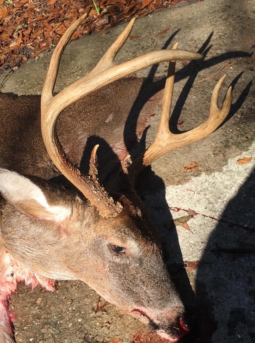 Image 77 of 93 For 210 Tucker Springs Road