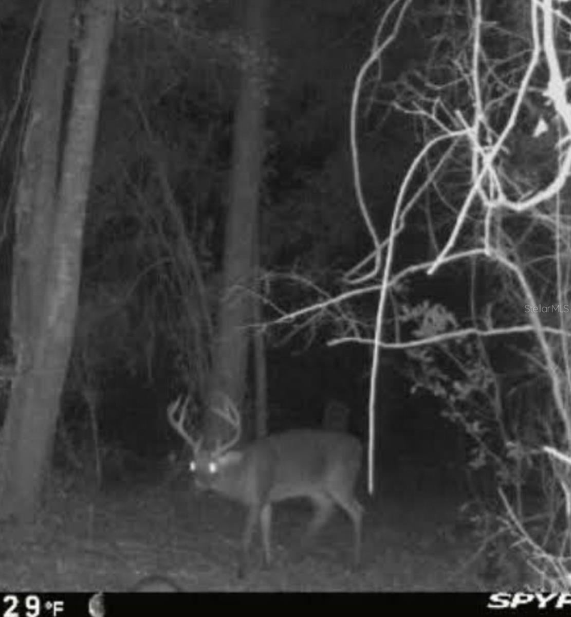 Image 78 of 93 For 210 Tucker Springs Road