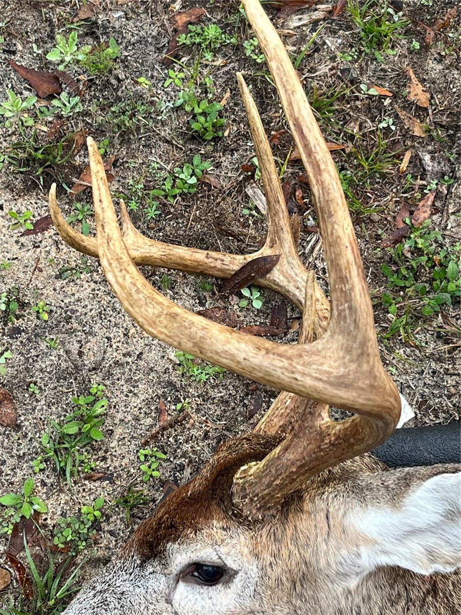 Image 79 of 93 For 210 Tucker Springs Road