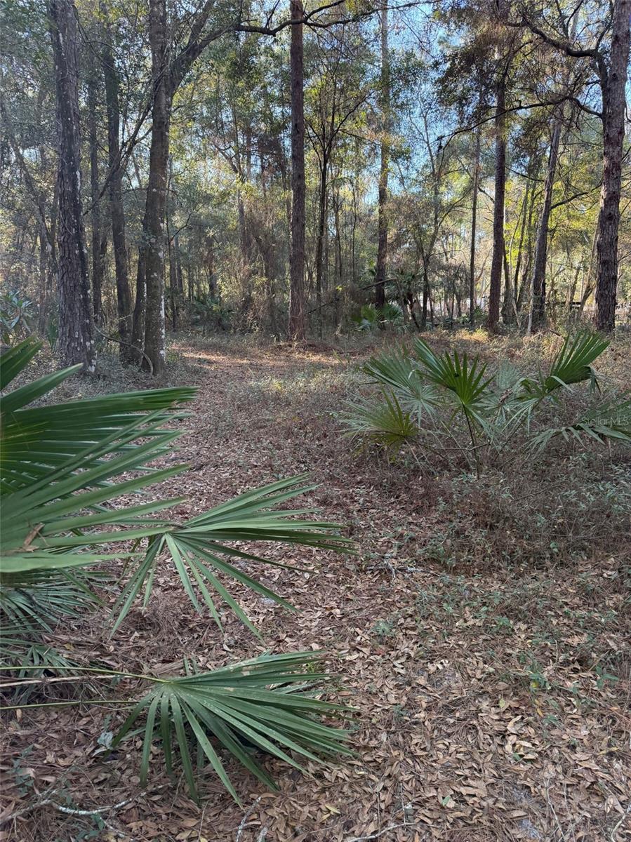 Image 4 of 8 For Tbd 150 Avenue