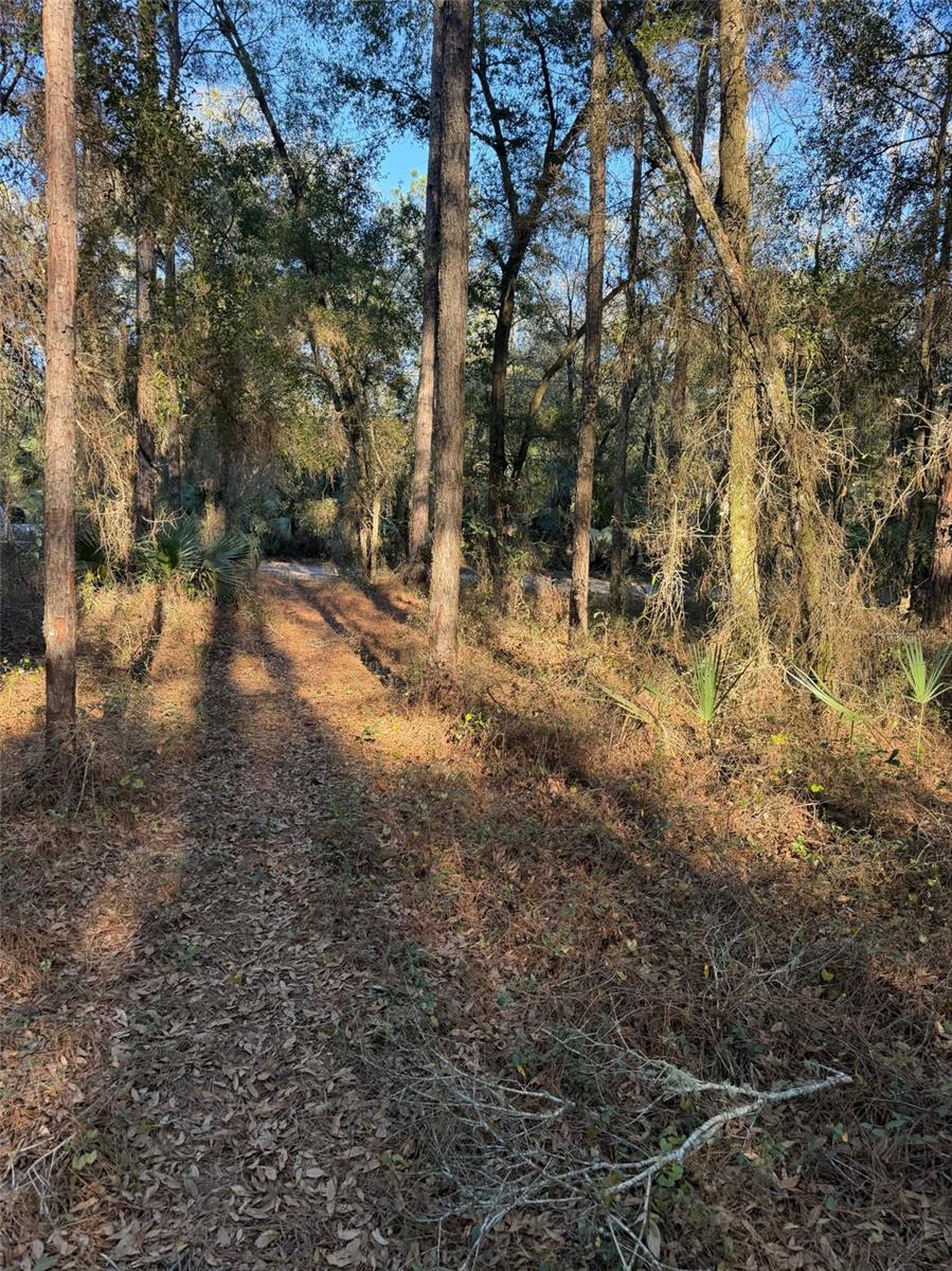 Image 6 of 8 For Tbd 150 Avenue