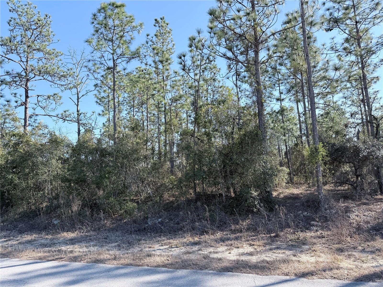 Image 5 of 6 For 0 Sw Edgewater Blvd