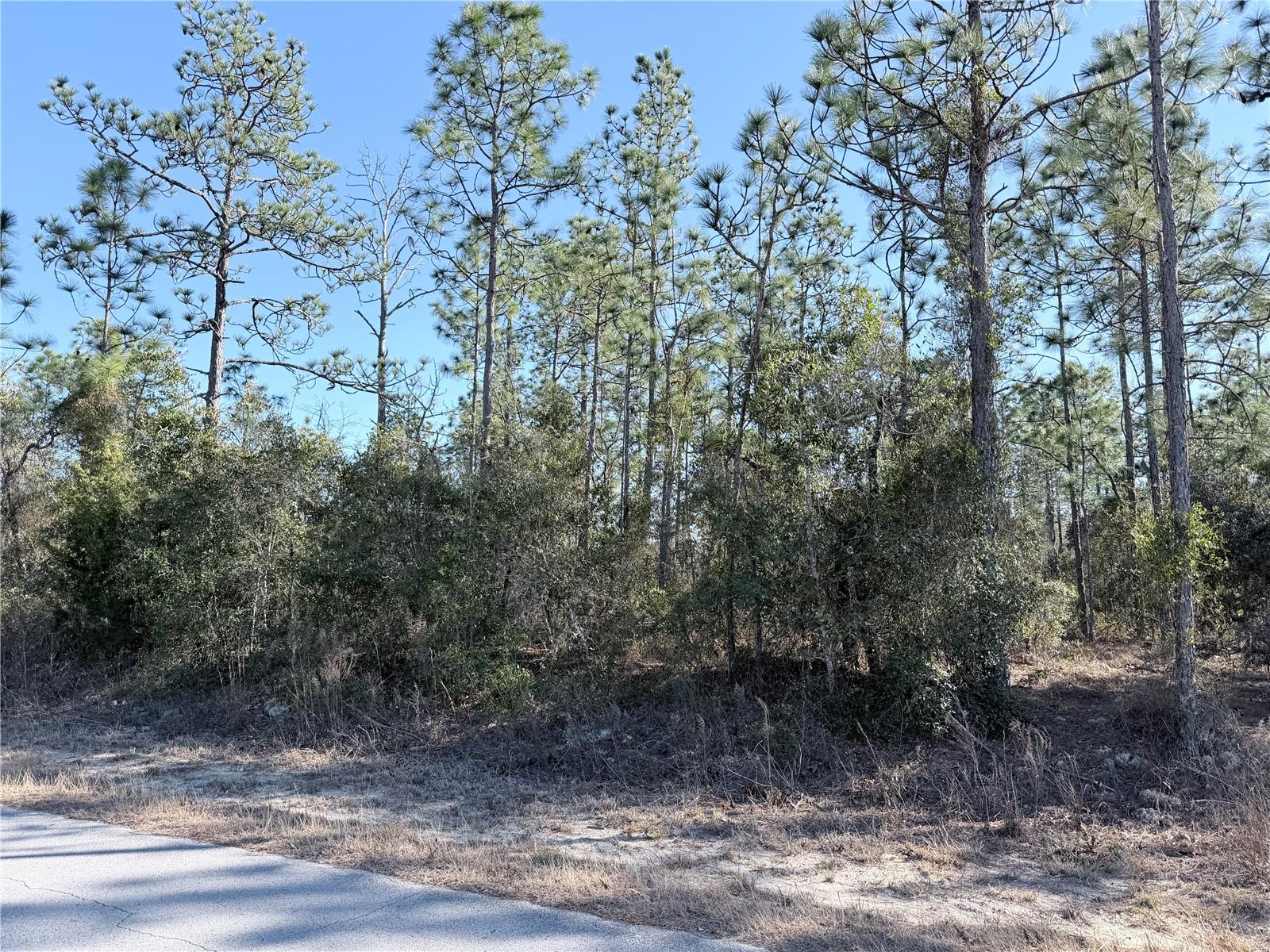 Image 6 of 6 For 0 Sw Edgewater Blvd