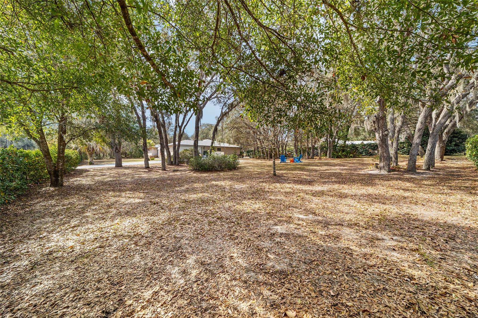 Image 49 of 54 For 790 Fresno Avenue