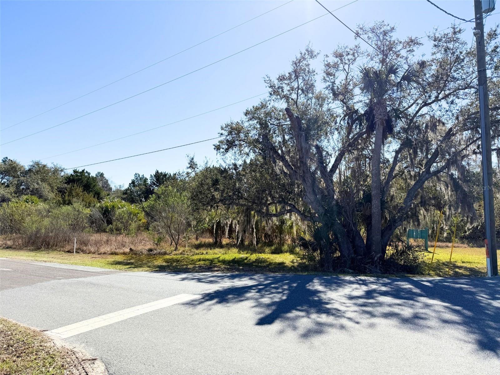 Image 2 of 12 For 10748 Pine Bark Lane