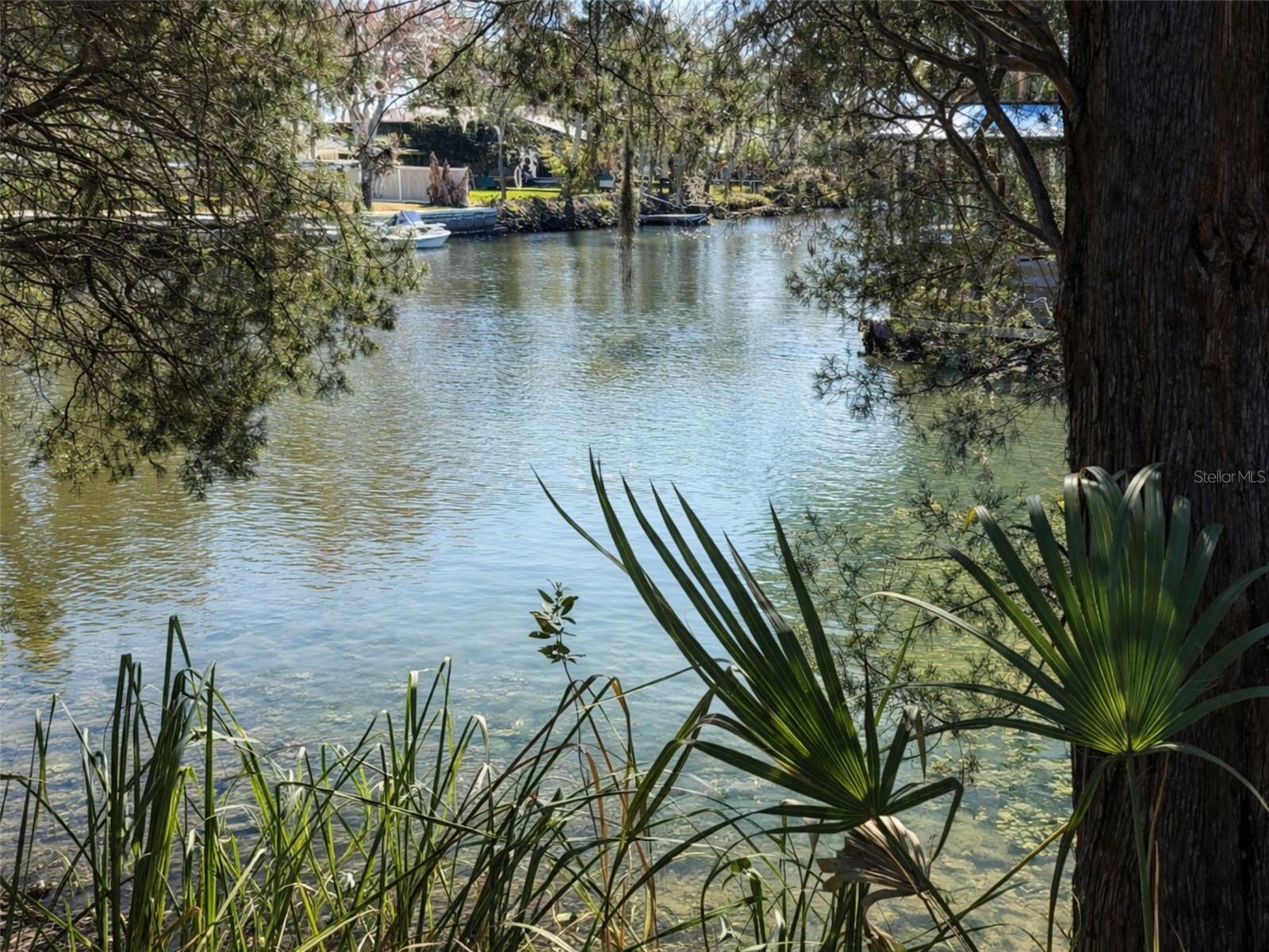 Image 4 of 12 For 10748 Pine Bark Lane