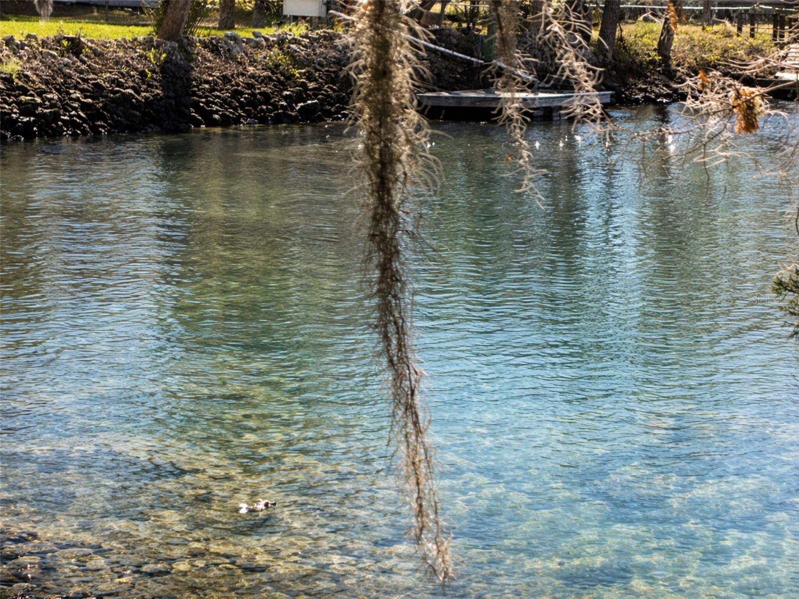 Image 5 of 12 For 10748 Pine Bark Lane