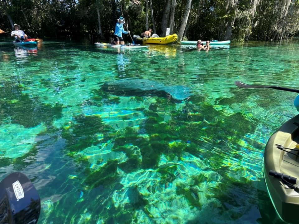 Image 36 of 41 For 1115 Kingsbay Drive