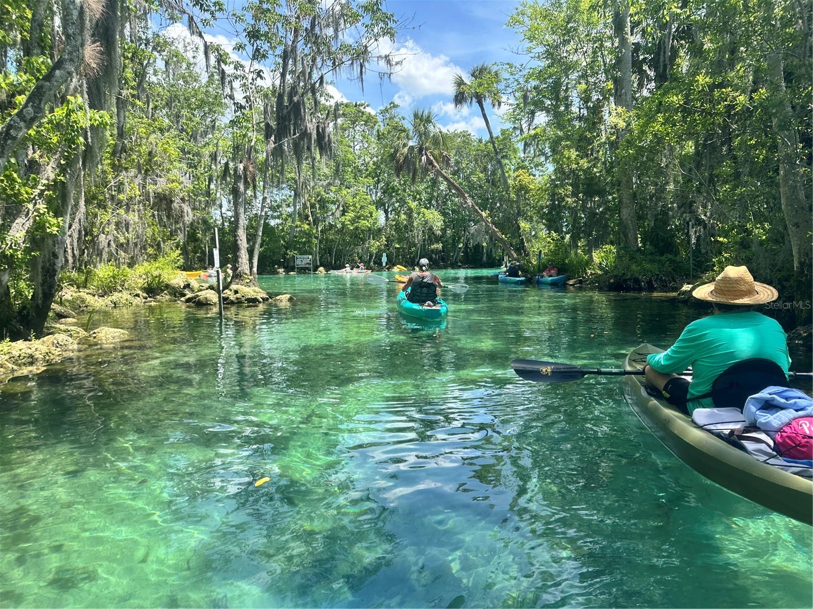 Image 37 of 41 For 1115 Kingsbay Drive