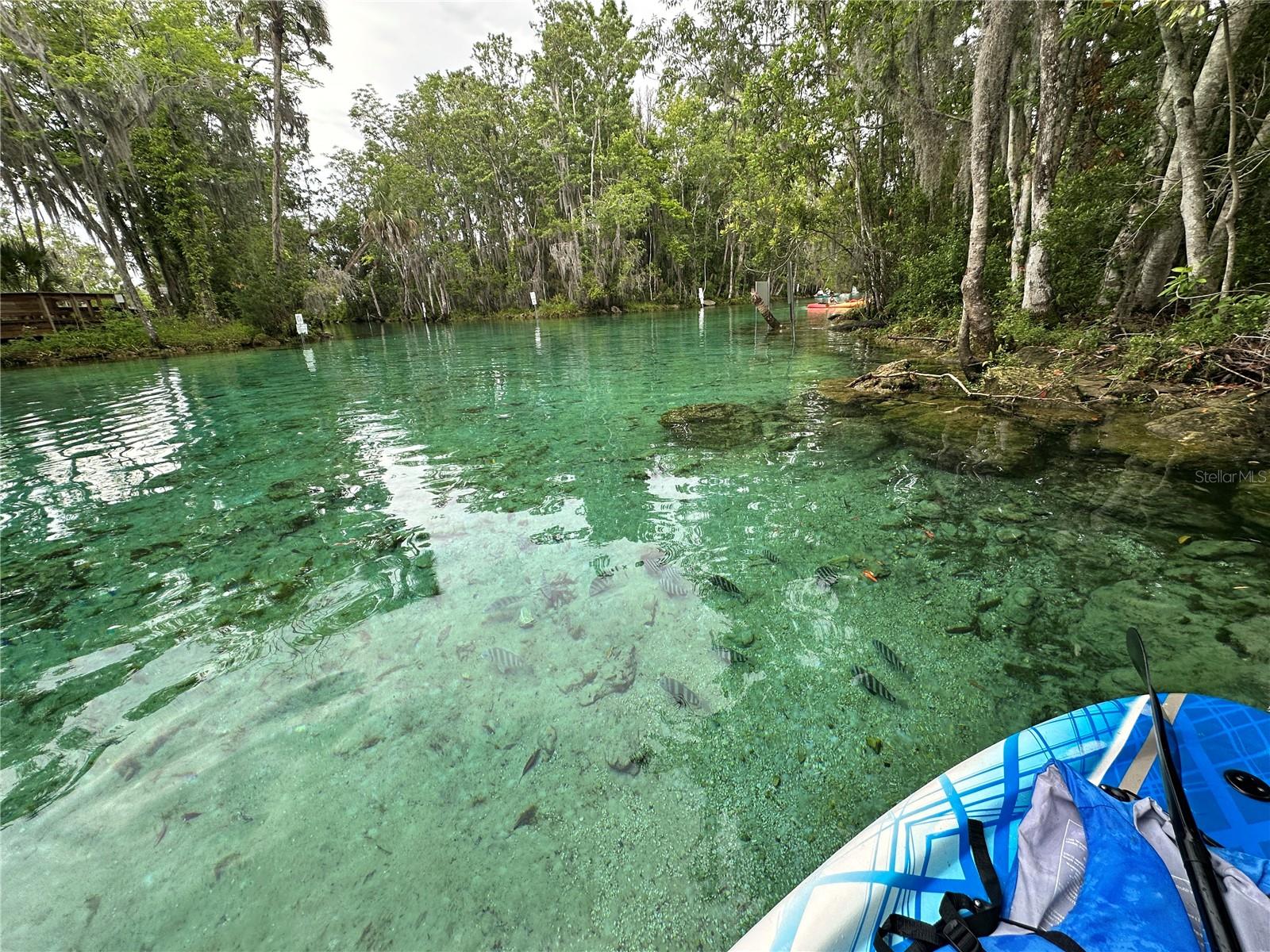 Image 38 of 41 For 1115 Kingsbay Drive