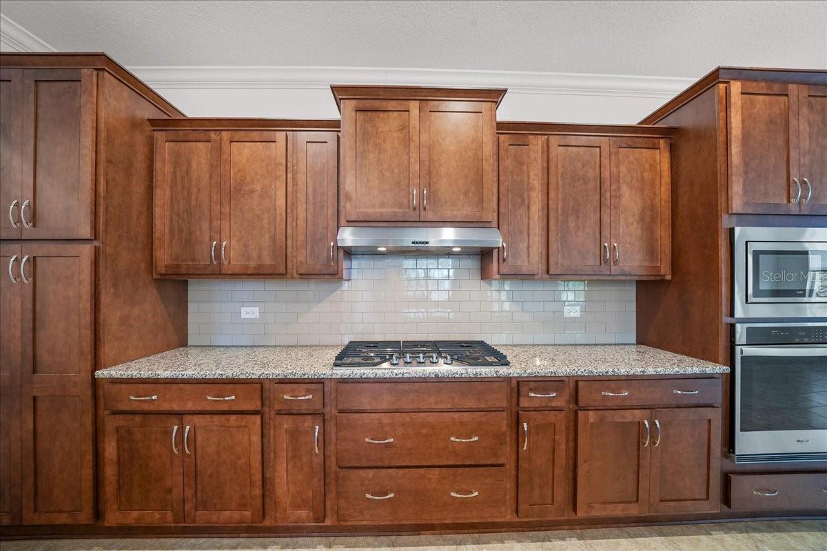 Image 16 of 69 For 10252 96th Loop