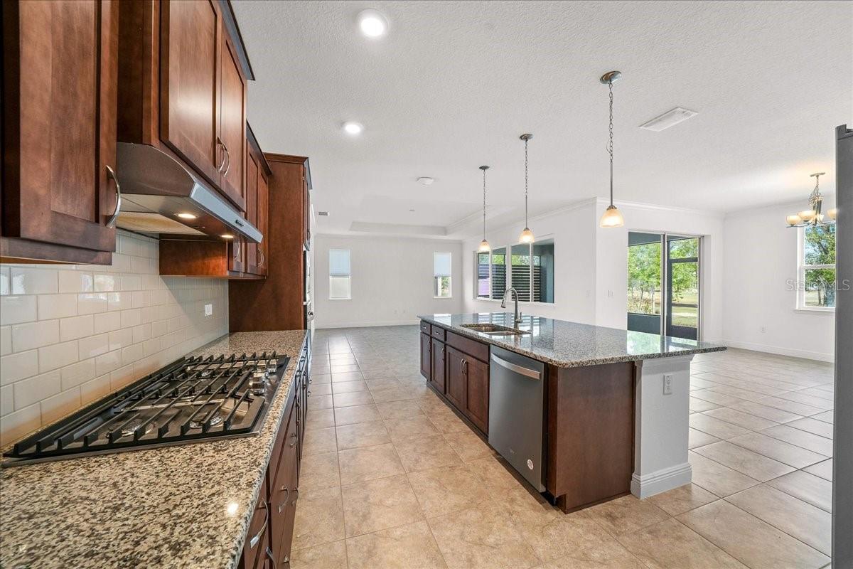 Image 18 of 69 For 10252 96th Loop