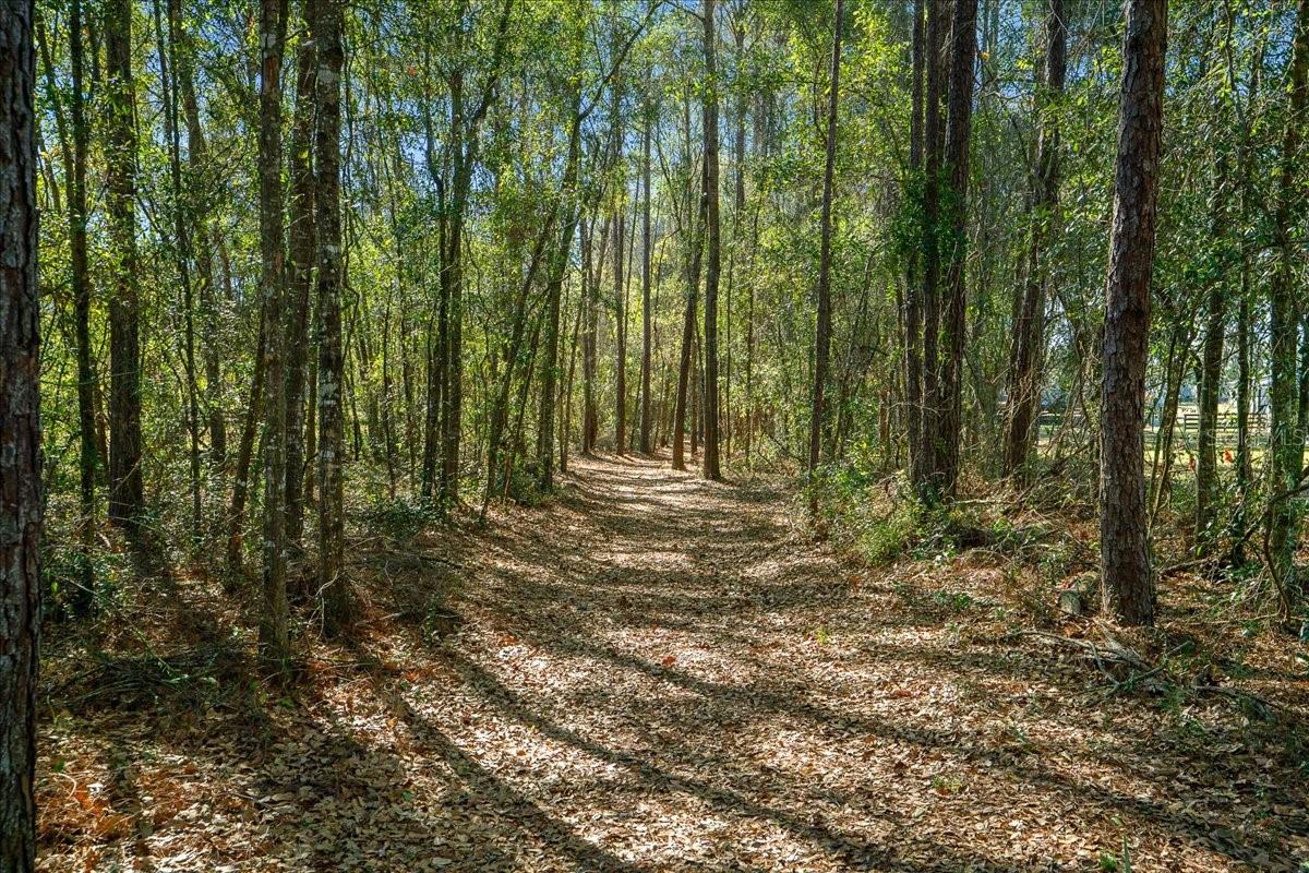 Image 86 of 93 For 6655 145th Avenue Road