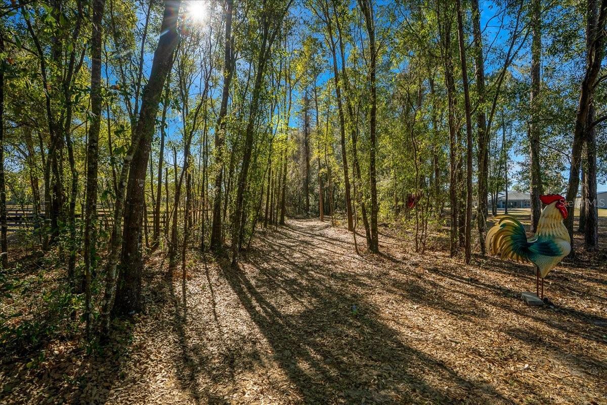 Image 88 of 93 For 6655 145th Avenue Road