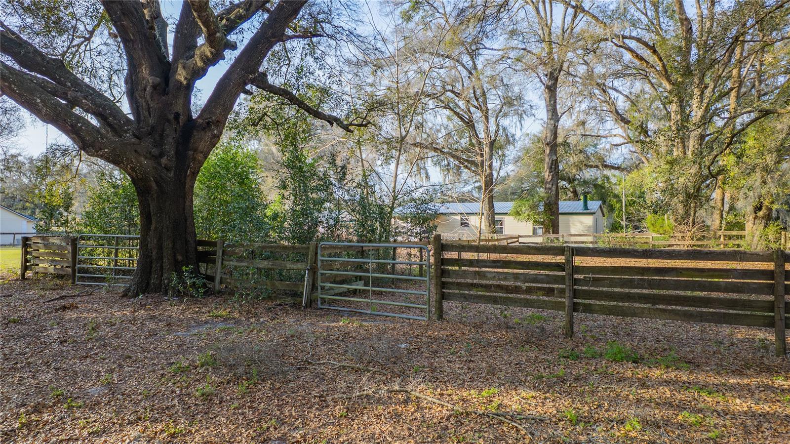 Image 79 of 96 For 1154 95th Street