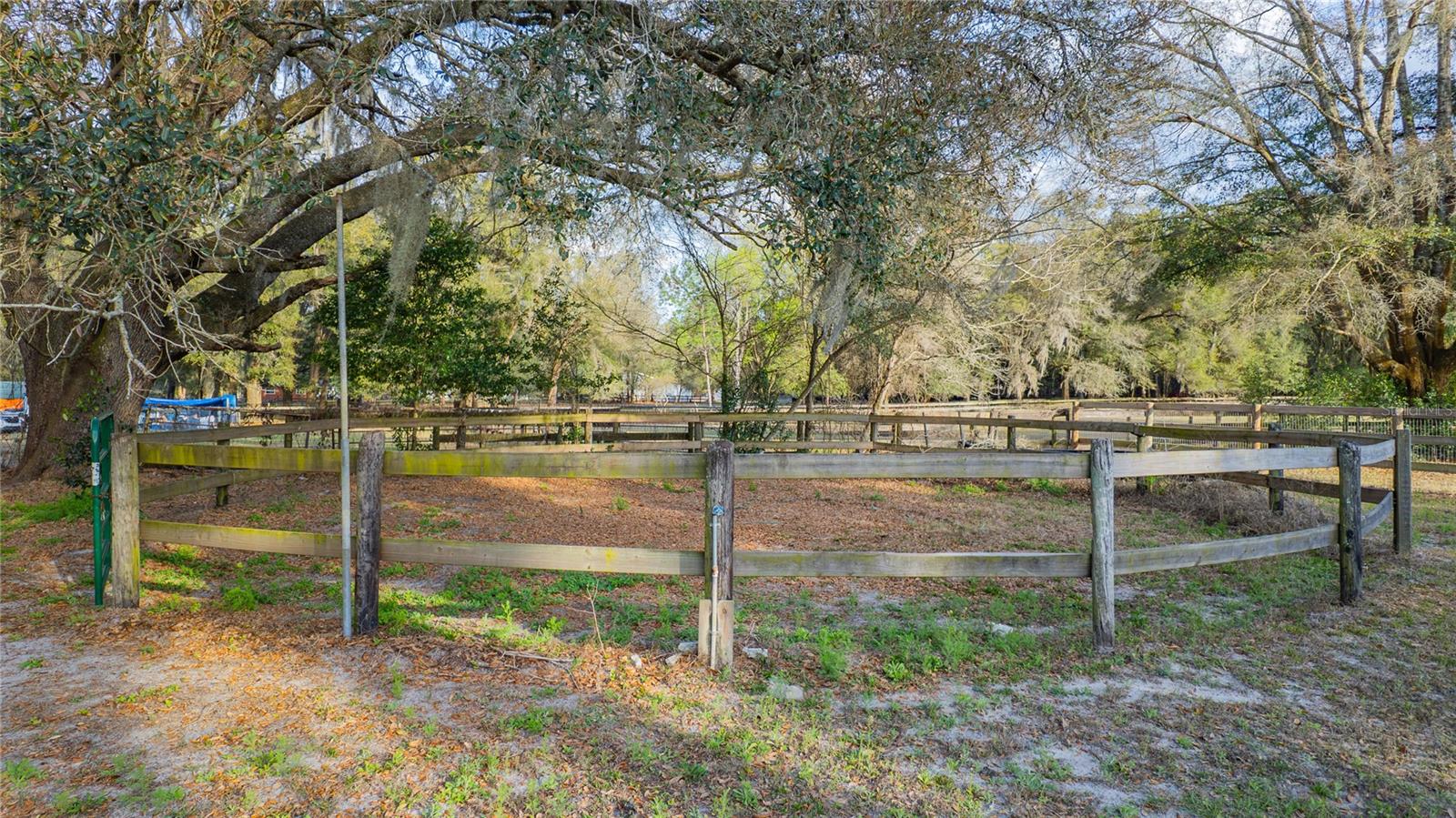 Image 88 of 96 For 1154 95th Street