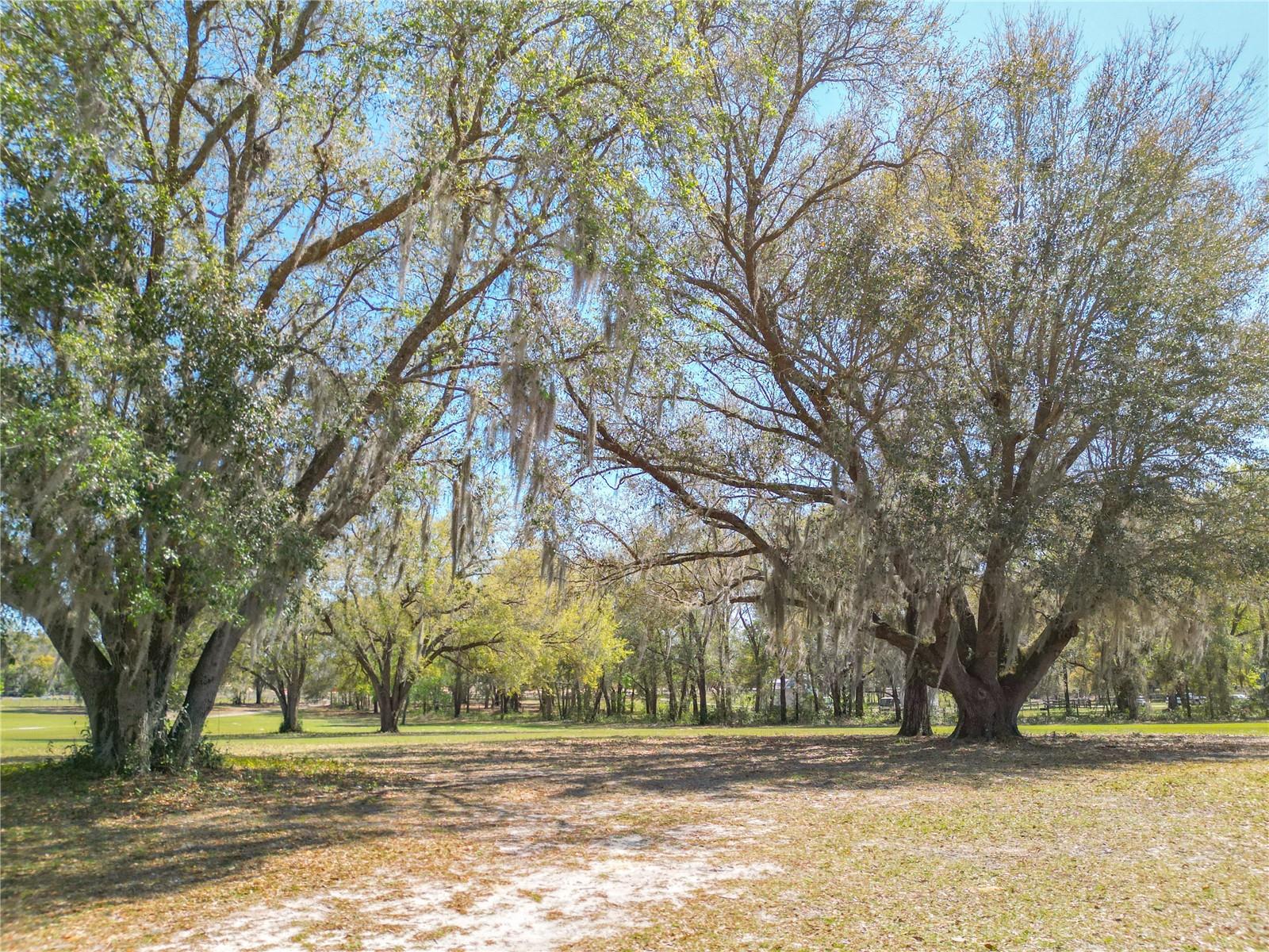 Listing photo id 31 for 295 Locust Pass