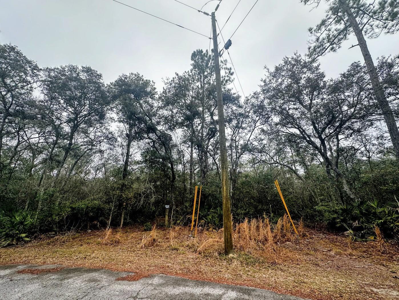 Image 9 of 31 For Tbd Off Riverview Road