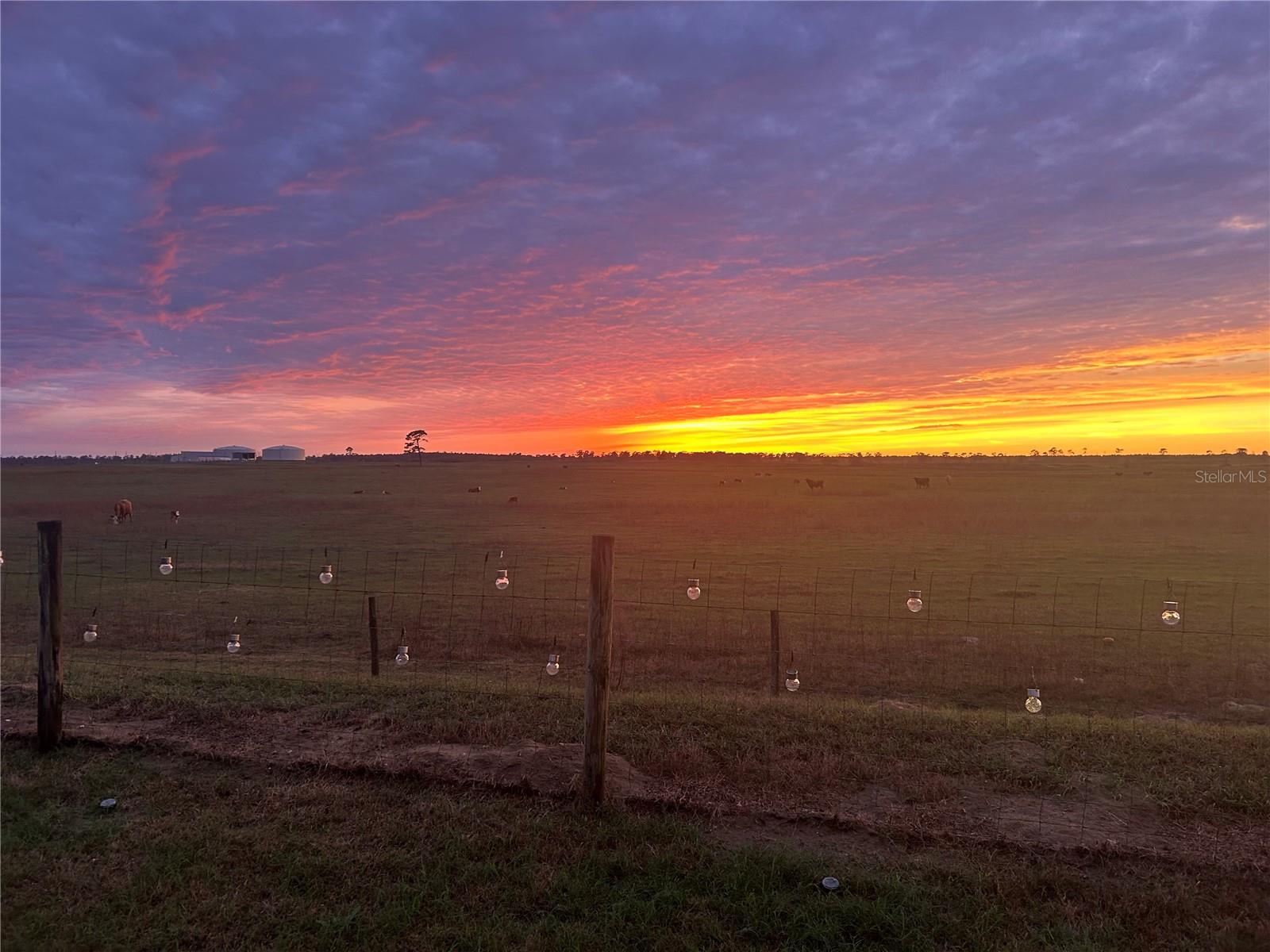 Image 18 of 23 For 7456 101st Court