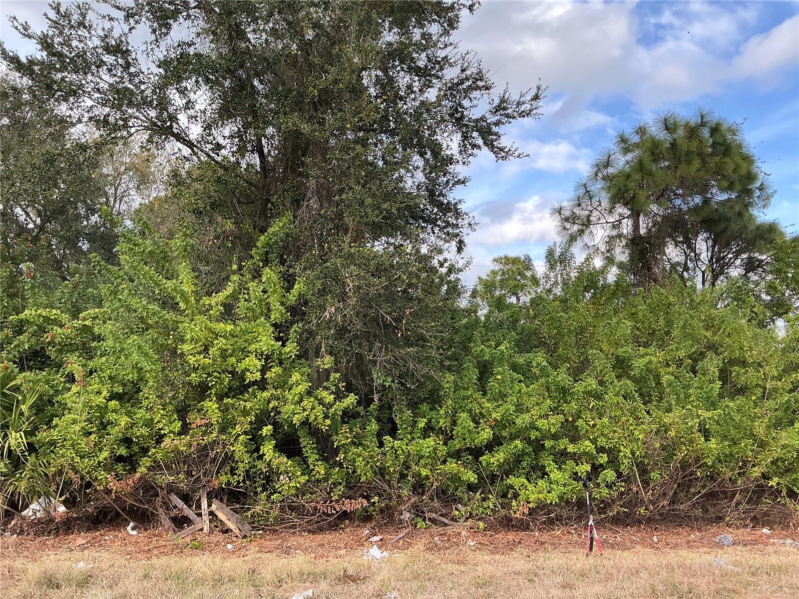 Details for 52 Gene Avenue S, LEHIGH ACRES, FL 33976