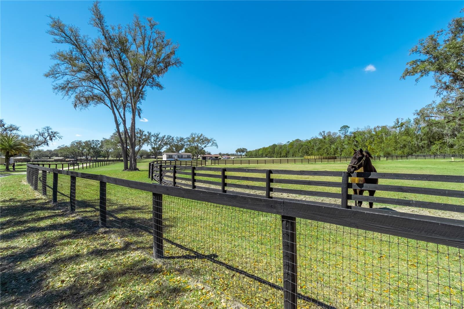 Image 87 of 96 For 4700 157th Court