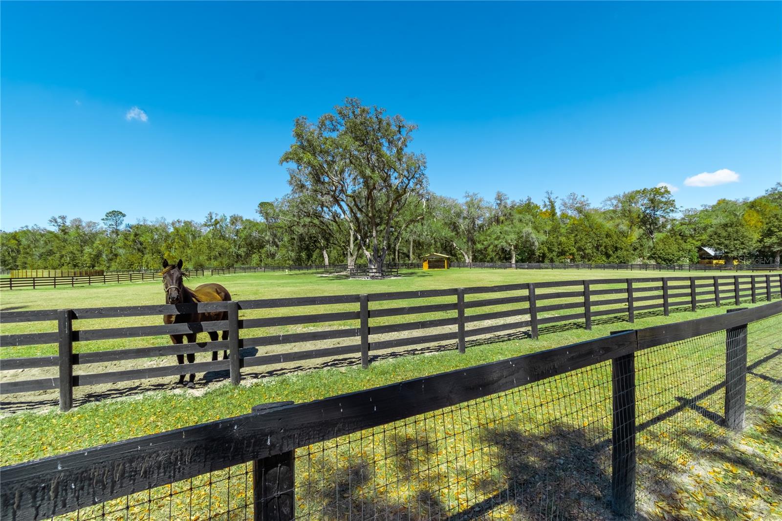 Image 88 of 96 For 4700 157th Court