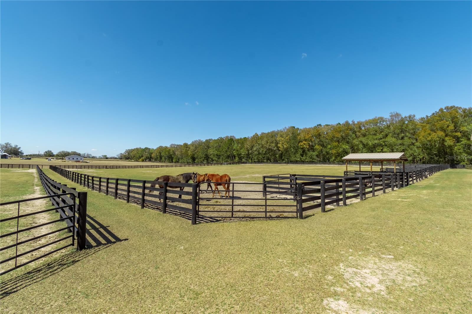 Image 94 of 96 For 4700 157th Court