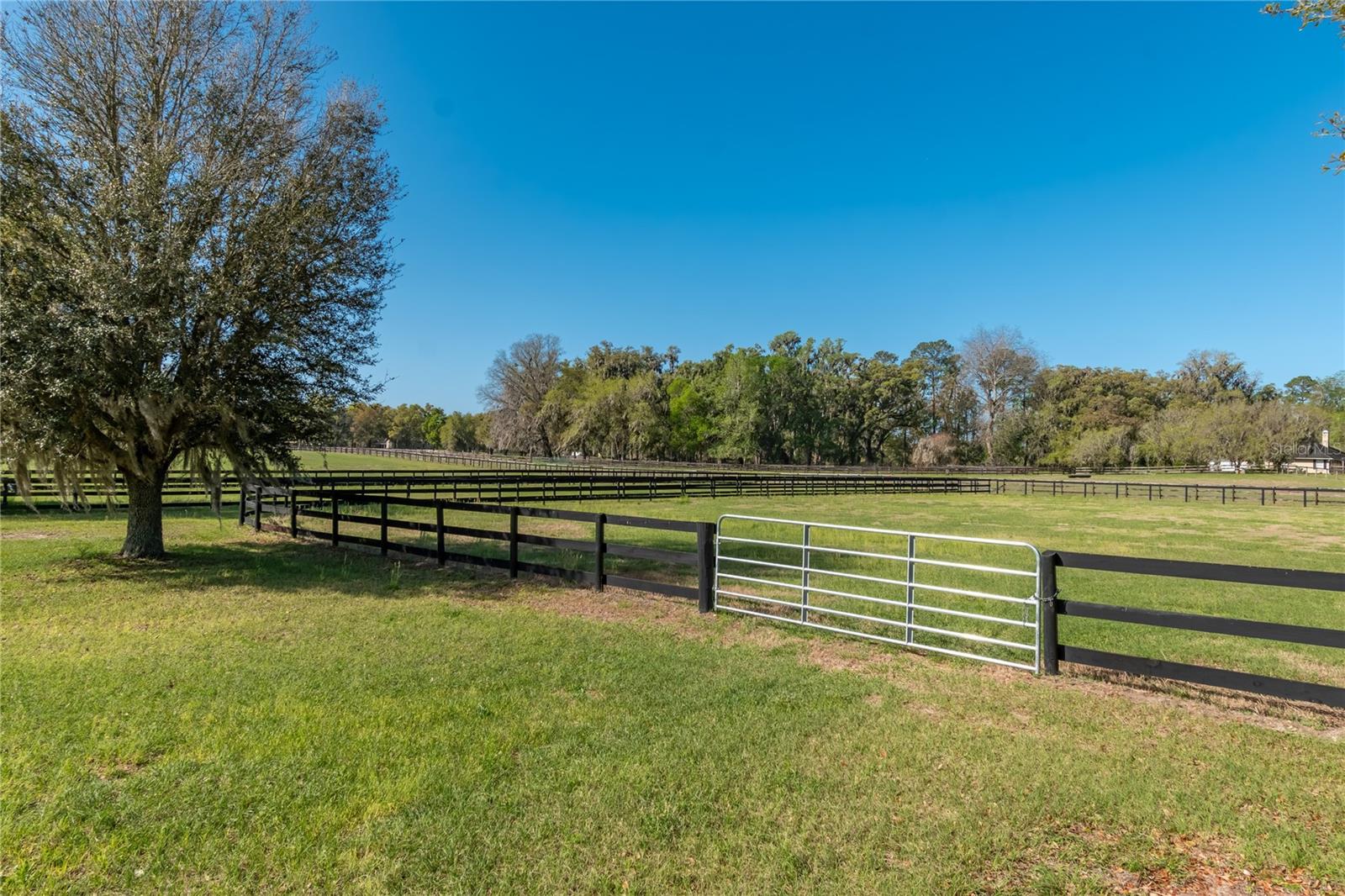 Image 77 of 88 For 8785 63rd Street