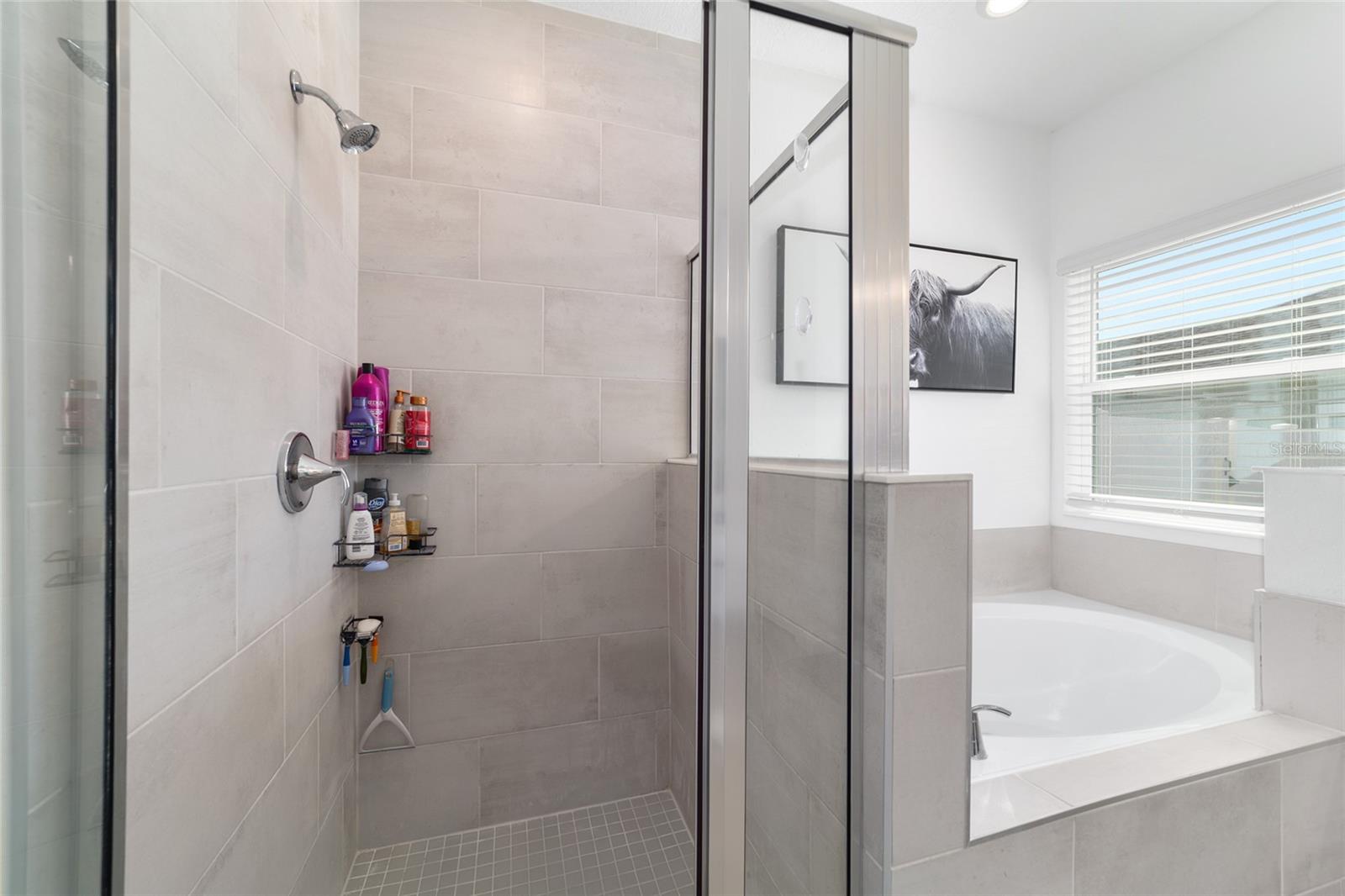 Image 36 of 77 For 4012 33rd Avenue