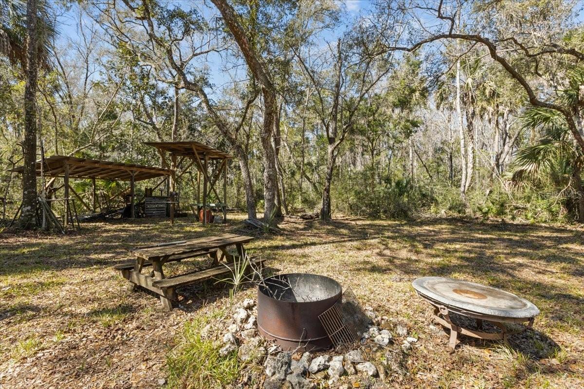 Listing photo id 20 for 86.77 Acres Turtle Pass Road