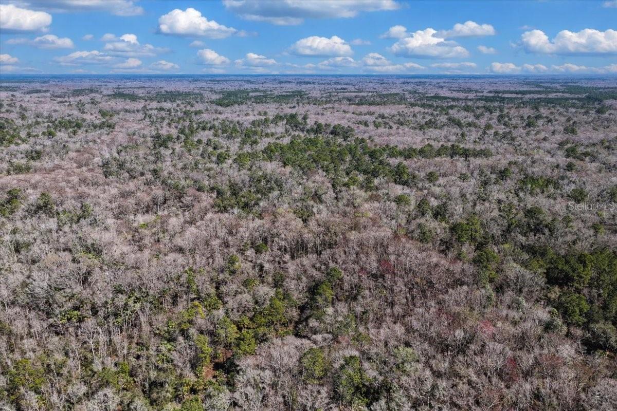 Listing photo id 25 for 86.77 Acres Turtle Pass Road