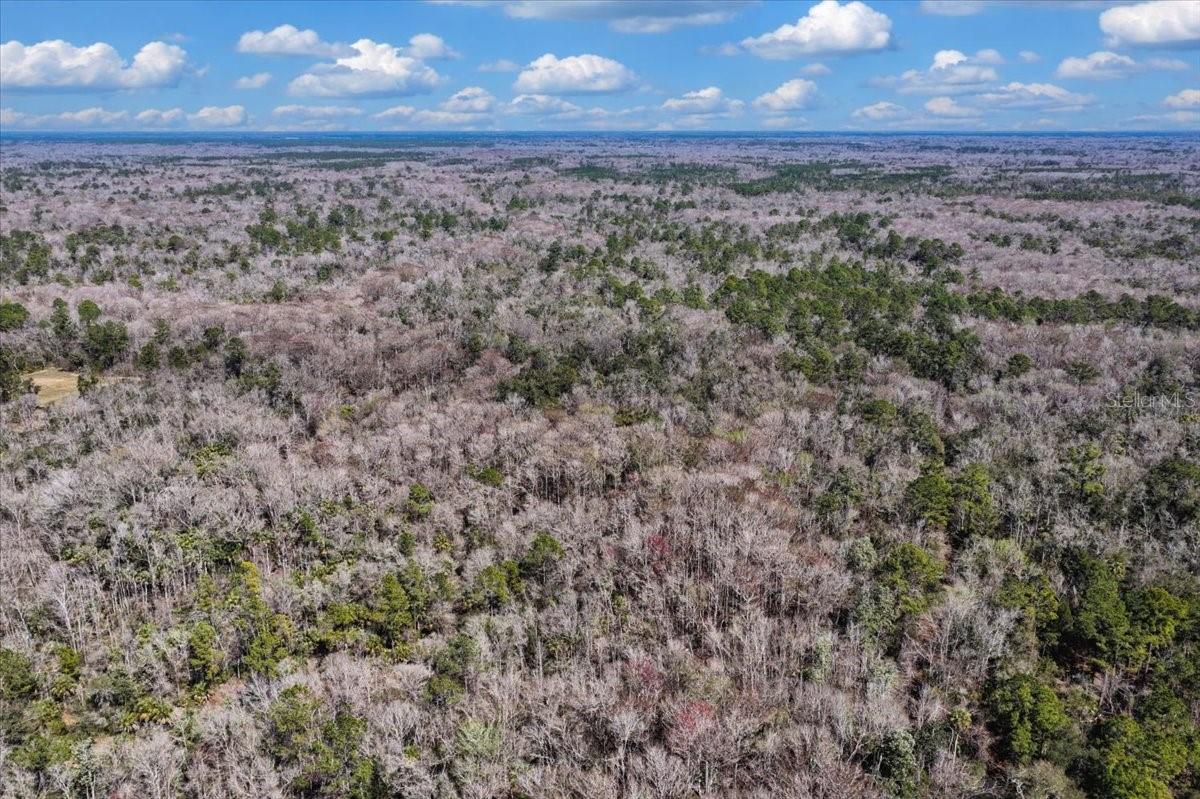 Listing photo id 26 for 86.77 Acres Turtle Pass Road