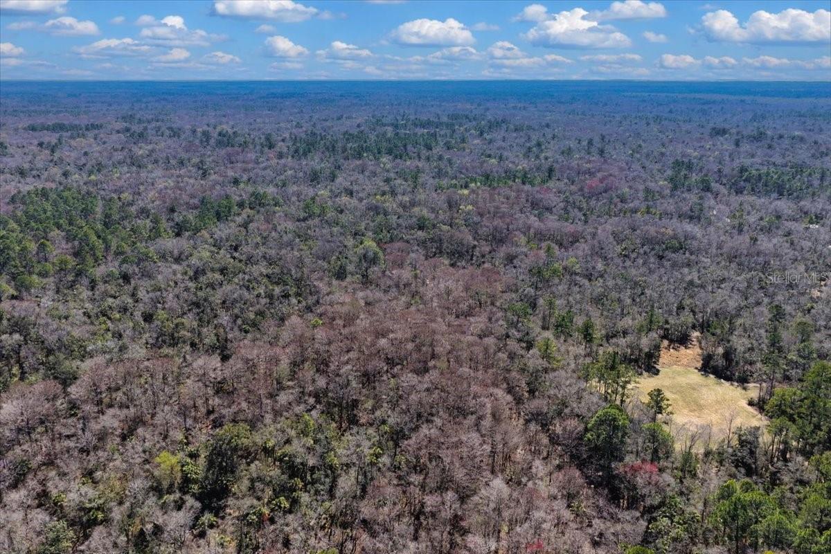 Listing photo id 27 for 86.77 Acres Turtle Pass Road