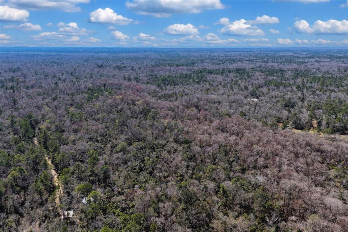 Listing photo id 28 for 86.77 Acres Turtle Pass Road