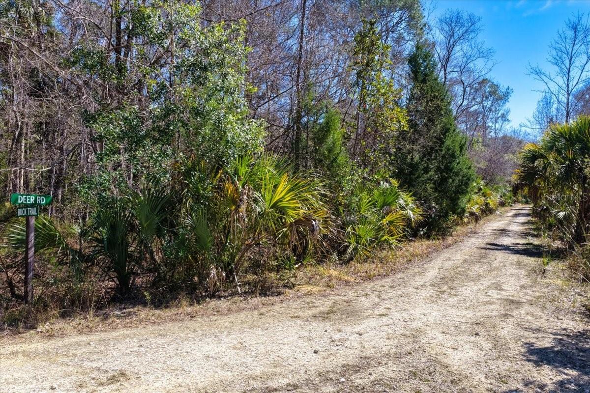 Listing photo id 31 for 86.77 Acres Turtle Pass Road