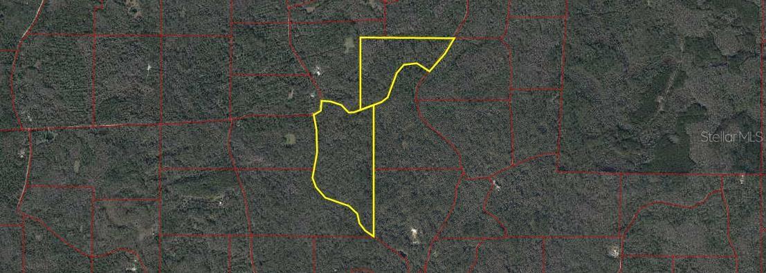 Listing photo id 34 for 86.77 Acres Turtle Pass Road