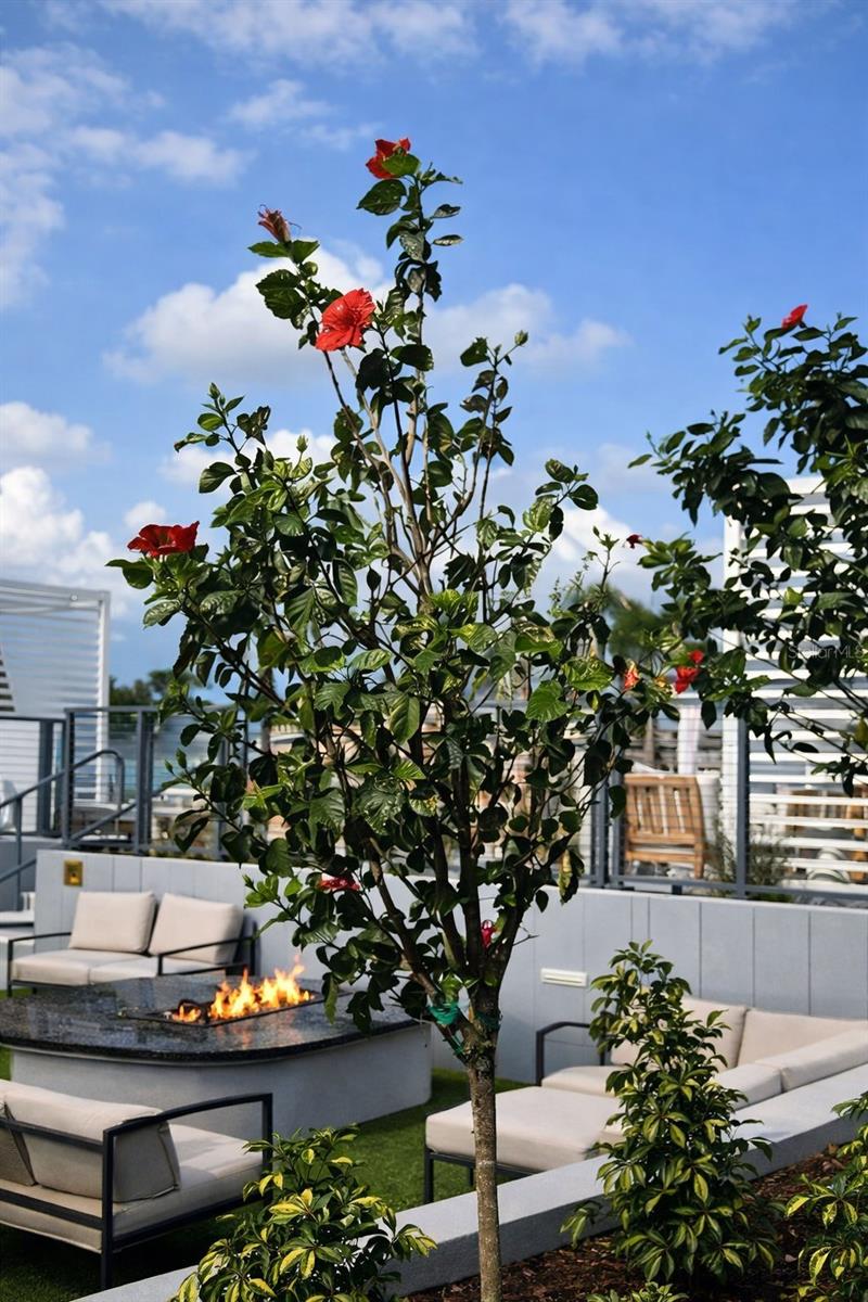 Image 34 of 40 For 400 Central Avenue 2603