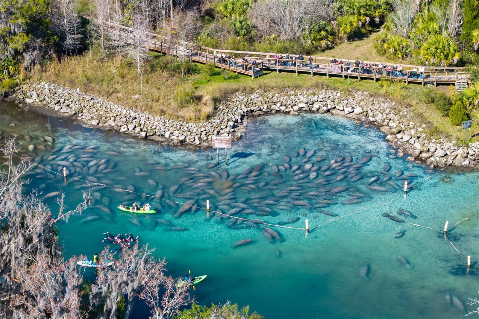 Image 37 of 38 For 110 Crystal Street