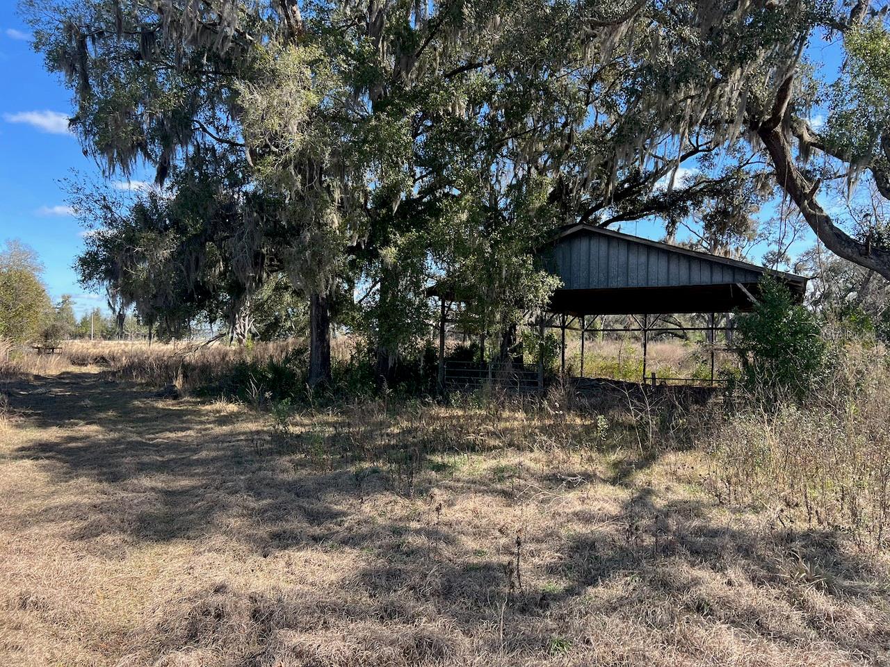 Details for 2351 Highway 41, WILLISTON, FL 32696