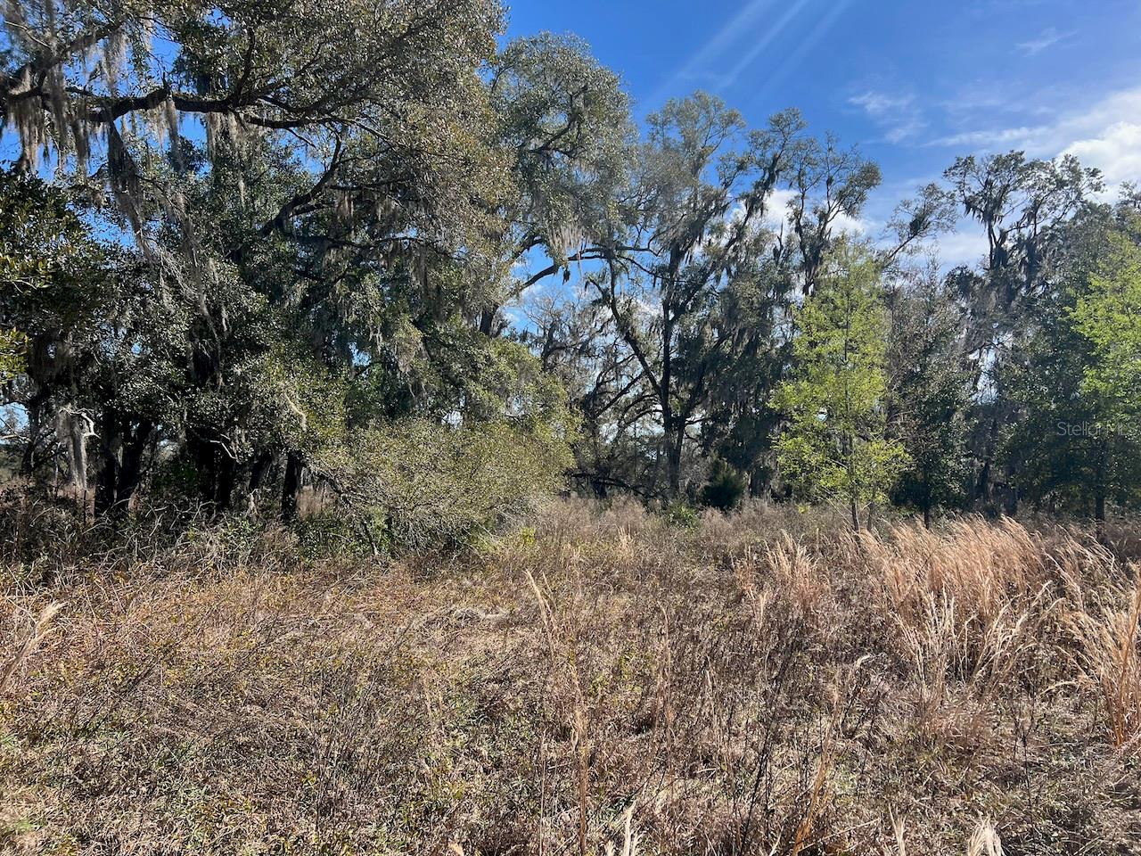 Image 10 of 17 For 2351 Highway 41