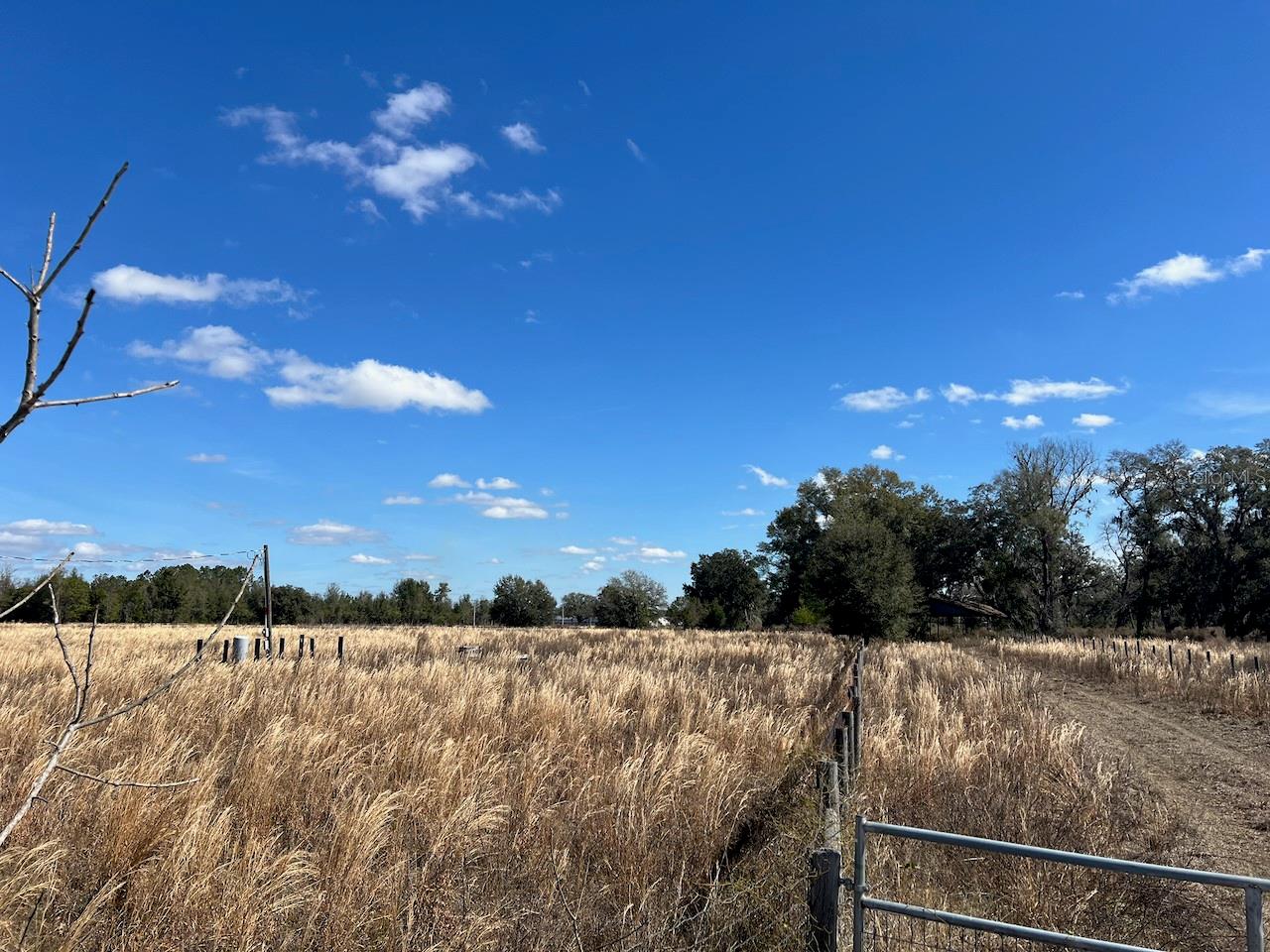 Image 16 of 17 For 2351 Highway 41