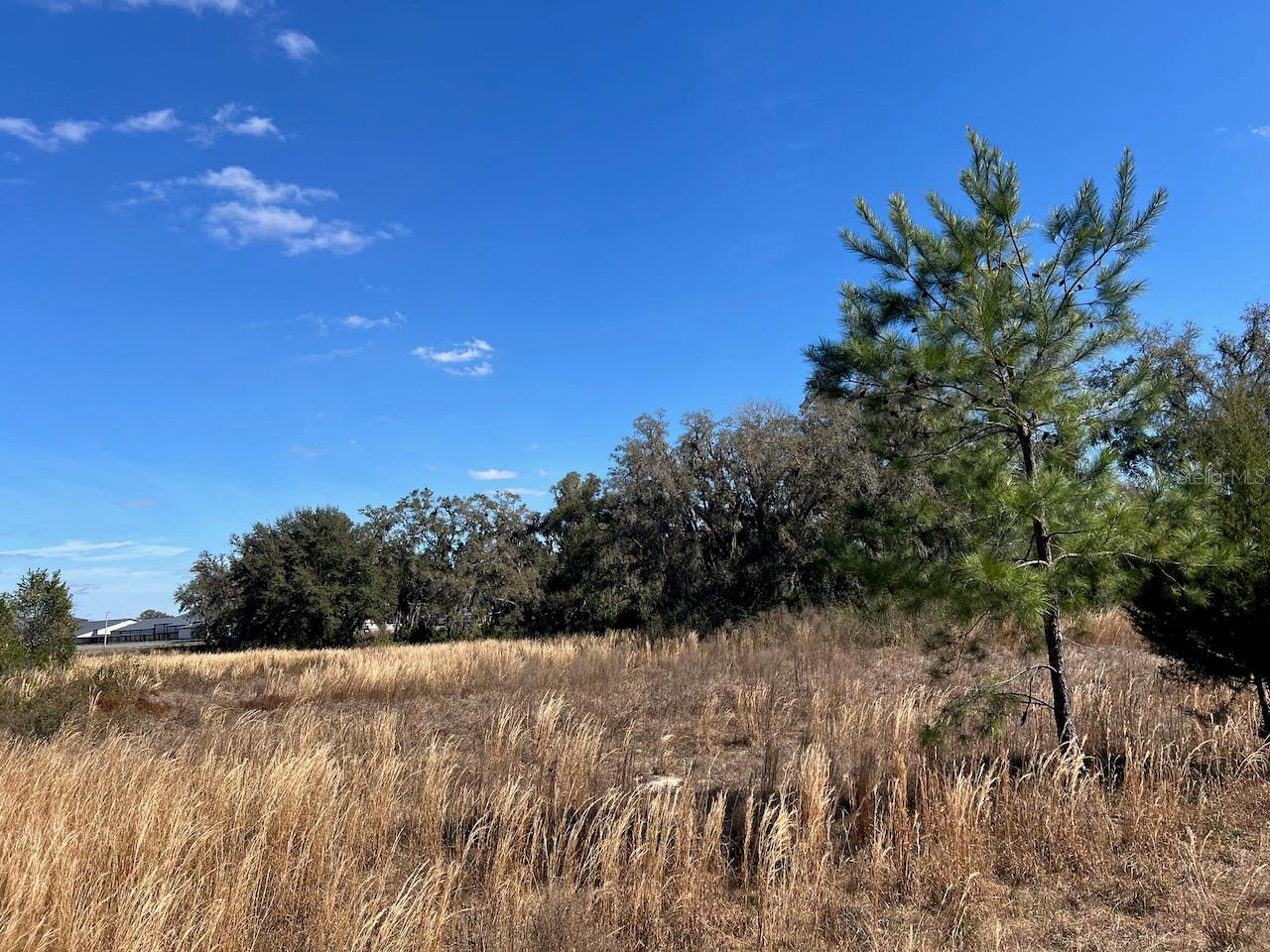 Image 5 of 17 For 2351 Highway 41